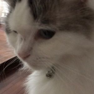 Meet your Posher, Yvonne